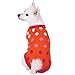 Blueberry Pet All Time Favorite Rosy Pink and Red Polka Dots Designer Dog Sweater, Back Length 12