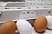 Egg Cartons - 25 Bulk Pack - 30 Bonus Quality Blank Labels of multi temp vinyl material, 100% recycled pulp biodegradable material, holds one dozen eggs, multi-use, sturdy, bulk cheap egg carton