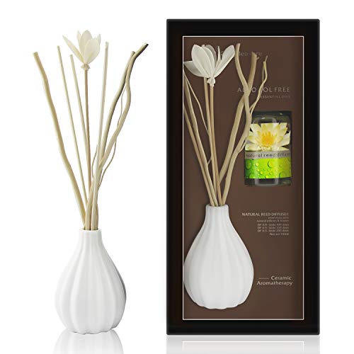 ap airpleasure Dried Flower Reed Diffuser Set, Natural Sticks, Elegant Ceramic Bottle, Aromatherapy Oil Set, Home Fragrance & Decorative Diffuser (Aqua Lily) - Thumbnail 2