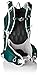 Osprey Tempest 9 Women's Hiking Backpack