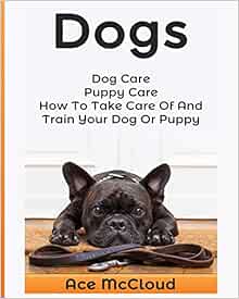 dog take care near me