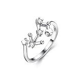 BriLove Women 925 Sterling Silver CZ Horoscope Zodiac 12 Constellation Astrology Adjustable Statement Ring