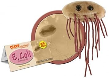 escherichia coli peluche