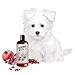 Sofee & Co. Natural Dog Puppy Conditioner - Moisturize Detangle Deodorize Condition Calm Soothe Soften Normal Dry Itchy Allergy Sensitive Skin. Prevent Mattes. 16 oz (Pomegranate)