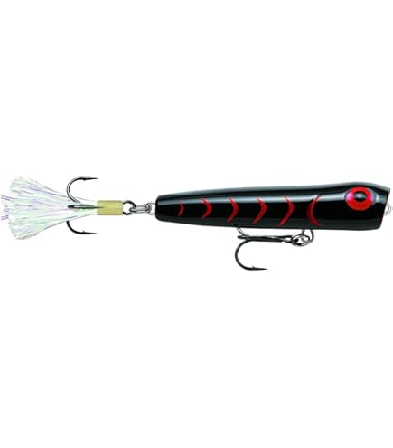 Amazon.com: Storm Chug Bug 08 (Bull Frog, Size- 3.25)