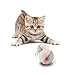 YOFUN Interactive Cat Toy 360 Degree Self Rotating Ball Automatic Light Toy for Pet(Batteries Included,5 Packs of Batteries in Total) (White)