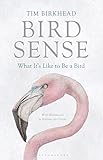 Image de Bird Sense