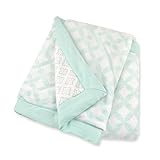 Just Born Plush Hampton/Bridgeport Blanket, Aqua