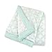 Just Born Plush Hampton/Bridgeport Blanket, Aqua