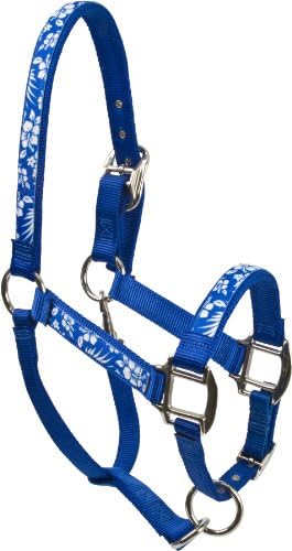 Red Haute Horse AB1403 A Equine Elite Horse Halter, Aloha Blue