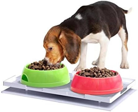 ant free cat bowl australia