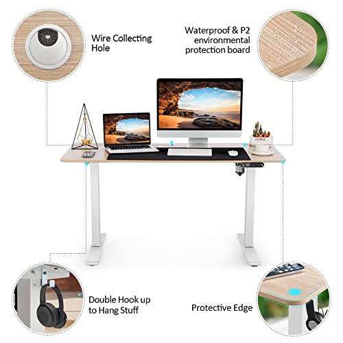 Electric Standing Desk Adjustable Height, 48''x 24'' Sit Stand Home