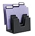 Acrimet 5 Section Incline File Sorter Organizer, Mail, Folder, Letter Desk Organizer, Rack for Office Organization Desktop (Plastic) (Black Color)