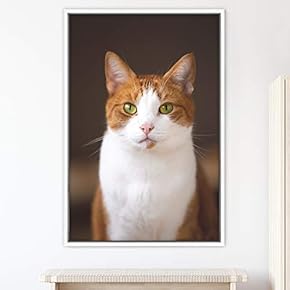 signwin Framed Canvas Wall Art Cat Animals Cat...