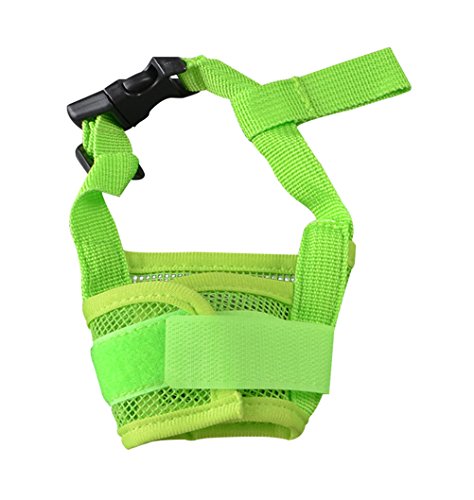 Freerun Dog Muzzle for Barking Biting Chewing Licking Nylon Mesh
Comfortable Adjustable Velcro for Small Medium Large Dogs Puppy Anti
Bite Chew Bark Lick Allow Drinking Walking - Green, XXL