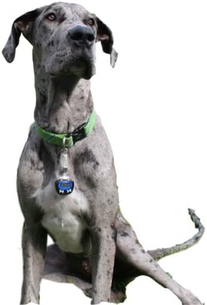 dog pedometer amazon