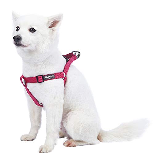 only uniqueness dog harness