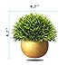Vangold Lifelike Artificial Plants Plastic Grass Plants with Pots for Christmas Home/Office Decor (1pcs)
