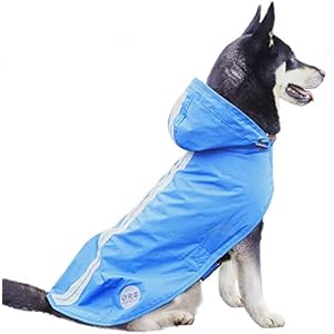thin waterproof dog coat