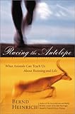 Racing the Antelope: What Animals Can Teach Us About Running and Life by