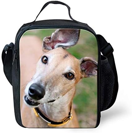 greyhound luggage size