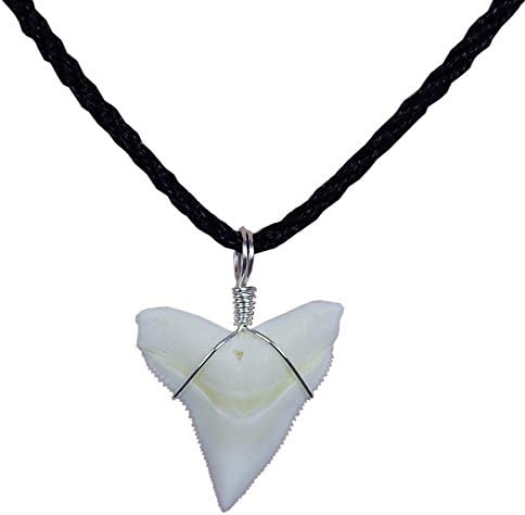 GemShark Real Bull Shark Tooth Necklace Sterling Silver Charm Pendant for Boys Girls Unisex