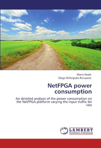 NetFPGA power consumption: An detailed analysis of the power consumption on the NetFPGA platform varying the input traffic bit rate