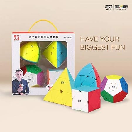 Cubelelo Combo Set of QiYi Speedcubing Bundle Pyraminx Megaminx Mastermorphix Skewb Cubes (Multicolour)