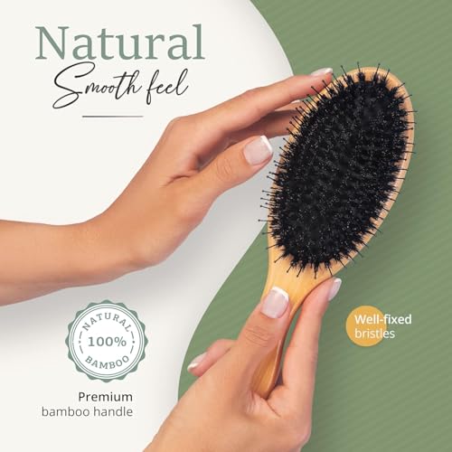 Belula Boar Bristle Hair Brush - Hair Brushes for Women & Mens Hair Brush, Detangler Brush, Hairbrush, Detangling Brush for Long, Curly or Any Type of Hair.