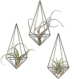 Mkono Wall Mounted Air Plant Holder Modern Geometric Planter Hanging Tillandisia Container Himmeli Home Decor, Bronze, 3 Packs