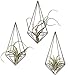 Mkono Wall Mounted Air Plant Holder Modern Geometric Planter Hanging Tillandisia Container Himmeli Home Decor, Bronze, 3 Packs