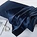 YANIBEST Pillow Cases 2 Pack 100% Mulberry Silk Pillowcase for Hair and Skin with Hidden Zipper (Queen Pillowcase Set of 2, Navy Blue)
