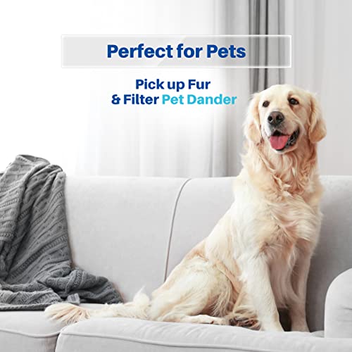 K&J 12Pack Type C Canister Vacuum Bags Compatible with Kenmore C,Q