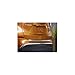 2015 Nissan Murano Rear Bumper Protector (Satin Chrome) 999B1-C3400