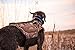 ALPS OutdoorZ Delta Waterfowl Dog Vest, Medium