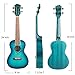 SanDona Acoustic Electric Concert Ukulele EQ 24 Inch Kit eUKC-131 | Spruce Top Flamed Okoume Back and Side | Under-Saddle Pickup, Strap, Aquila Strings, Digital Tuner and Gig bag | Midnight Sapphire