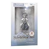 Kingdom Hearts Sora Timeless River