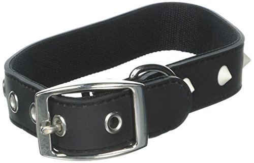 Zack & Zoey Glow Stud Collar, 14 to 18-Inch, Black