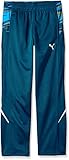 PUMA Boys' Tech Printed Pant