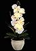 Homeseasons LED Pre Lit Lighted Single Stem Phalaenopsis Silk Orchid Arrangement-Battery Operated Lighted Artificial Orchid Plant(White)