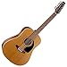Seagull Coastline S12 Cedar Guitar