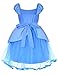 Party Chili Princess Fairy Costume Toddler Girls Birthday Dress Up with Tiara (3T 4T)