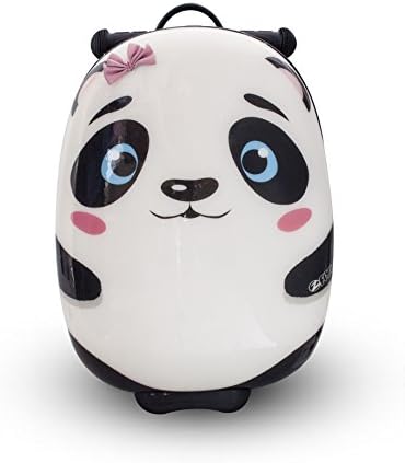 zinc flyte australia