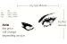 Decalgeek Beautiful Eyes Removable Wall Art Decal Sticker Decor Mural Diy Vinyl, 23.6 Inch X 49.2 Inch, Black