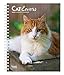 Cat Lovers 2020 6 x 7.75 Inch Weekly Engagement Calendar, Animals Domestic Cats (English, French and by