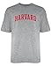 NCAA Harvard Crimson Licensed T-Shirt, Medium, Dark Ash