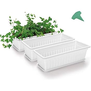 GROWNEER 3 Packs 17 Inches White Flower Window Box Plastic Planters with 15 Pcs Plant Labels, for Windowsill, Patio, Garden, Home Décor, Porch