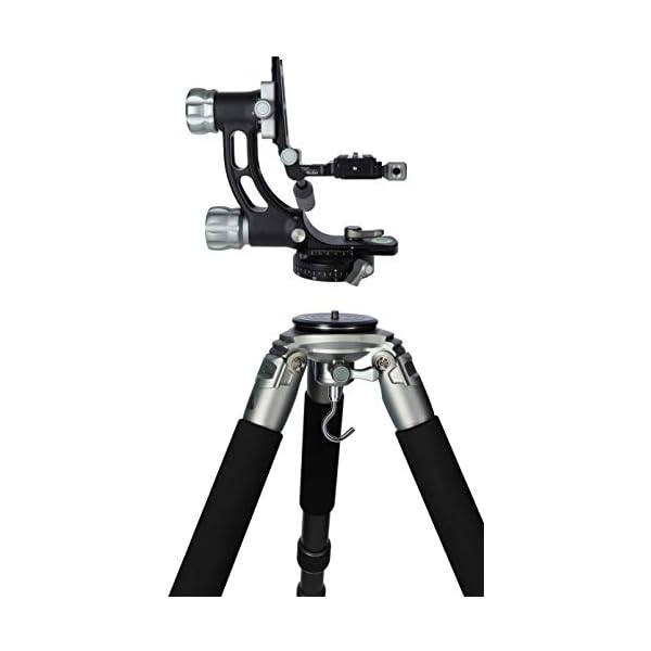 Rollei Lion Rock Gimbal – Carbon Stativ mit 30 kg Tragkraft, ideal für Astro – Vogel – und Sport-Fotografie,für… – Bild 5