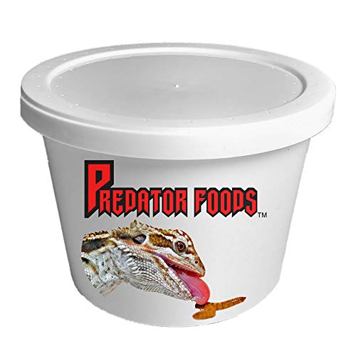 Predator Foods Bulk Super Worms - King Worms Small (1.25 in) - 100 Count