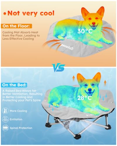 pecute Dog Cooling Mat on Elevated Dog Bed, 3-Sec Pop-Up No-Assembly Raised Dog Bed for Outdoor Camping, Raised Pet Cot with Cooling Mat for Dogs, Holds 60kg, Breathable Cooling Dog Bed,L,Dia 75cm